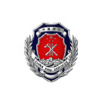 柳市鎮消防管理系統